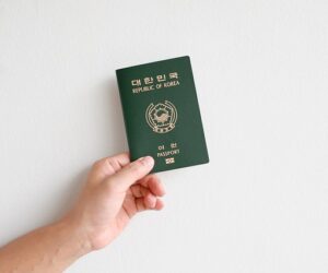 Nigeria Business e-Visa on Arrival for Citizens of Moldova