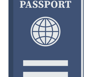 Nigeria Business e-Visa on Arrival for Citizens of South Korea