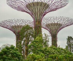 Singapore e Visa Duration: All About It